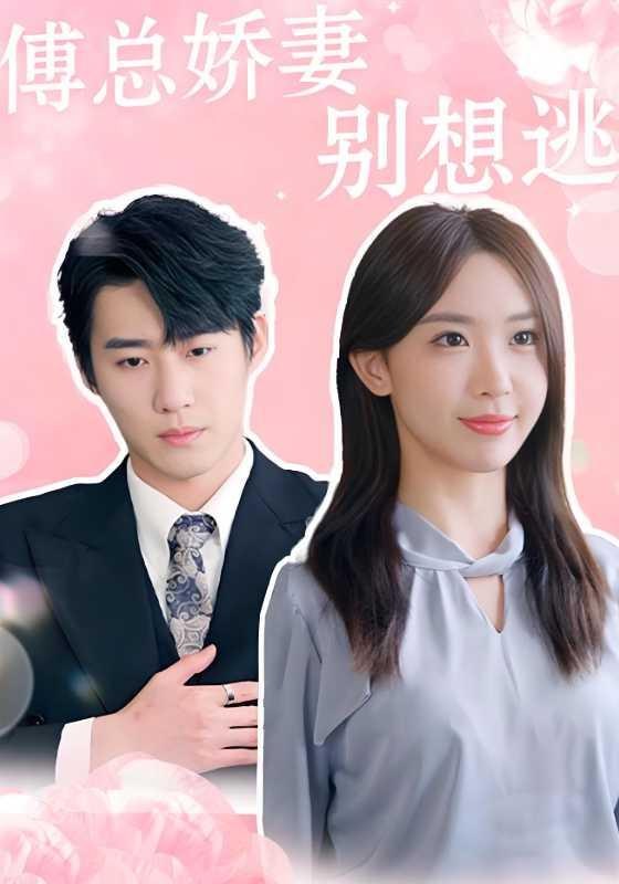 傅总娇妻别想逃房蕾
