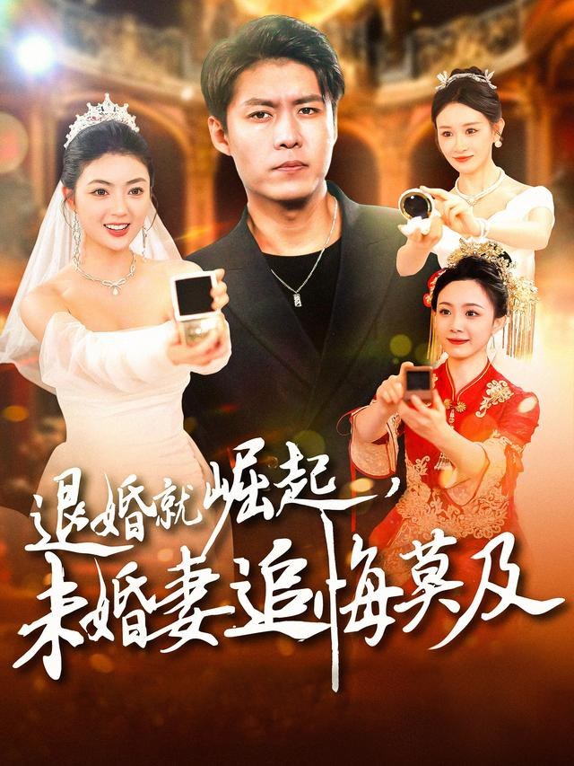退婚就崛起，未婚妻追悔莫及韩雨轩