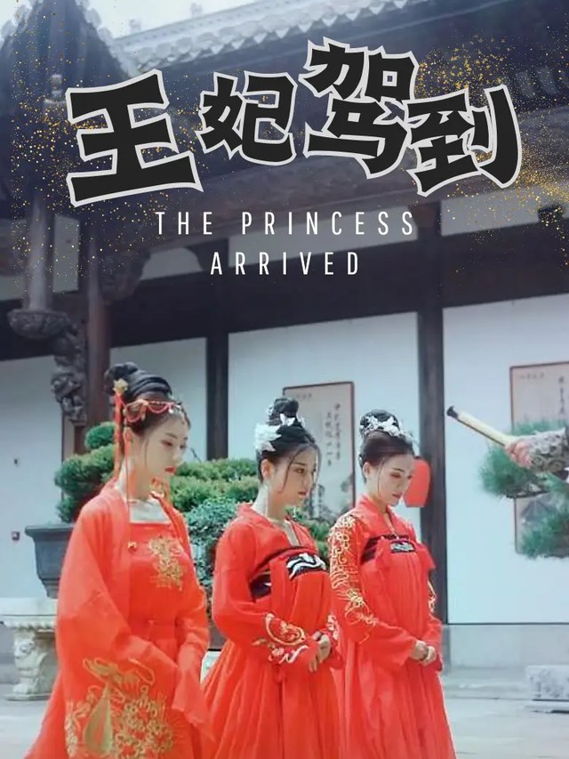 王妃驾到陈卉君