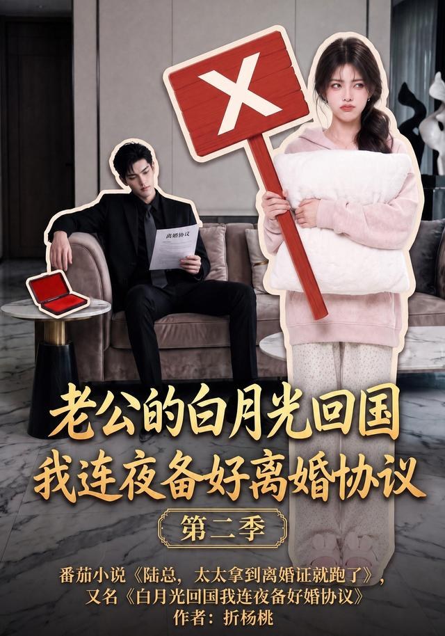 老公的白月光回国我连夜备好离婚协议第二季